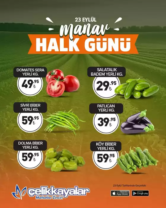 Çelikkayalar kataloğu | Oferta | 2026-09-23T00:00:00.000Z - 2026-09-23T00:00:00.000Z