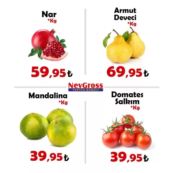Nev Gross kataloğu | Oferta | 2026-09-24T00:00:00.000Z - 2026-09-24T00:00:00.000Z