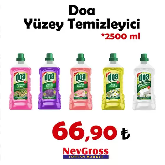 Nev Gross kataloğu, Tepebaşı | Oferta | 2026-09-25T00:00:00.000Z - 2026-09-25T00:00:00.000Z