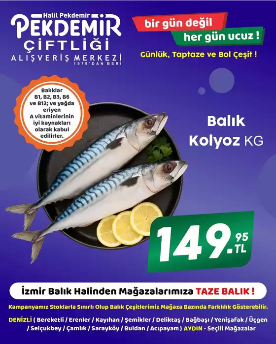 Pekdemir kataloğu, Pirinççi | Pekdemir katalog | 2026-09-28T00:00:00.000Z - 2026-10-12T00:00:00.000Z