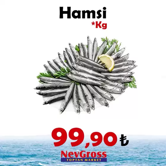 Nev Gross kataloğu | Oferta | 2026-10-06T00:00:00.000Z - 2026-10-06T00:00:00.000Z