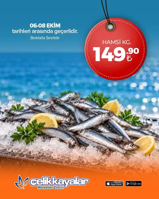 Çelikkayalar kataloğu | Oferta | 2026-10-07T00:00:00.000Z - 2026-10-08T00:00:00.000Z