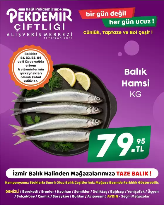 Pekdemir kataloğu | Güncel özel kampanyalar | 2026-10-08T00:00:00.000Z - 2026-10-22T00:00:00.000Z