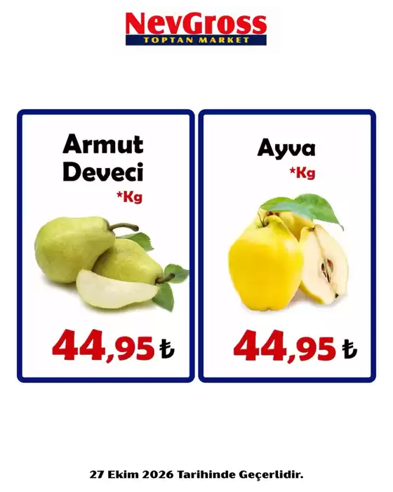 Nev Gross kataloğu | Ofertas | 2026-10-27T00:00:00.000Z - 2026-10-27T00:00:00.000Z