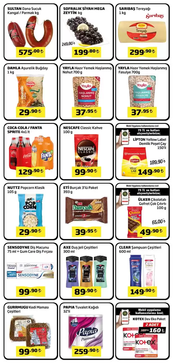 Çağdaş katalog