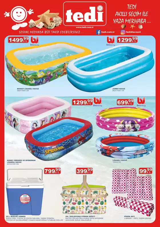 Tedi katalog