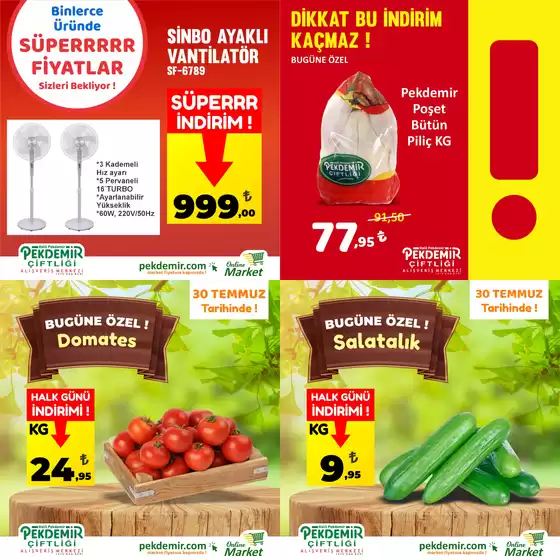 Katalog