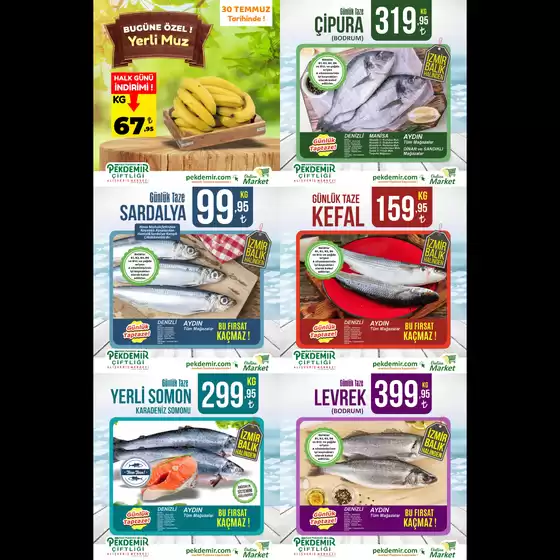 Katalog