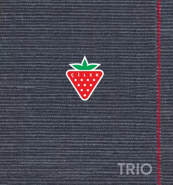 Çilek Mobilya kataloğu, Kastamonu | Fırsat avcıları için harika teklifler | 2025-08-06T00:00:00.000Z - 2025-08-20T00:00:00.000Z