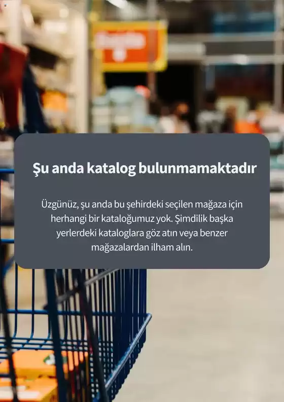 Mopaş katalog