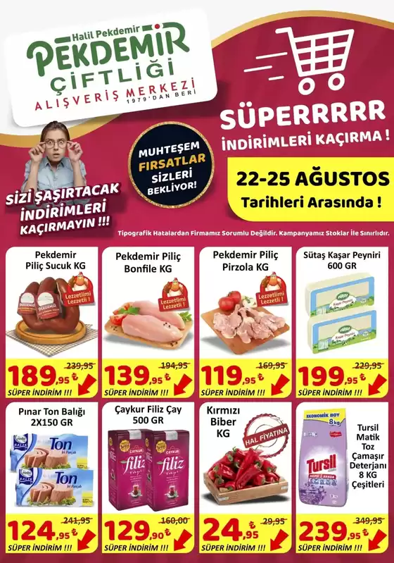 Pekdemir katalog