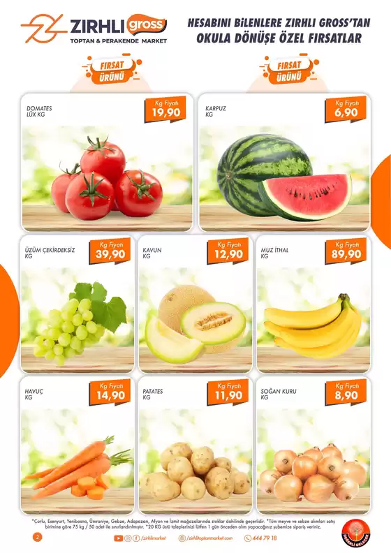 Zırhlı Toptan market katalog