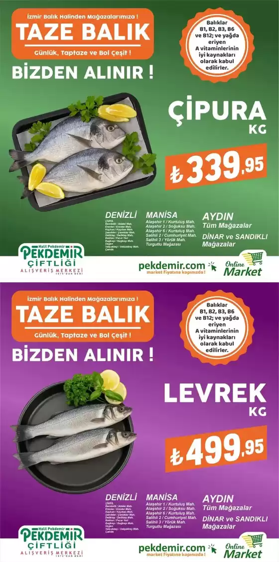 Pekdemir kataloğu, Orhangazi | Sizin için özel teklifler | 2025-08-29T00:00:00.000Z - 2025-09-12T00:00:00.000Z