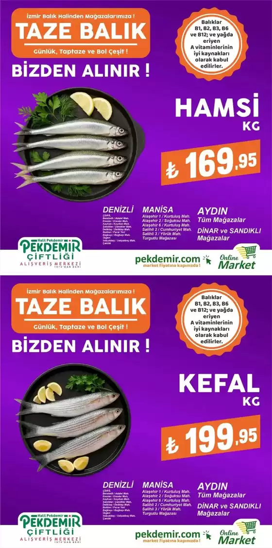 Pekdemir katalog