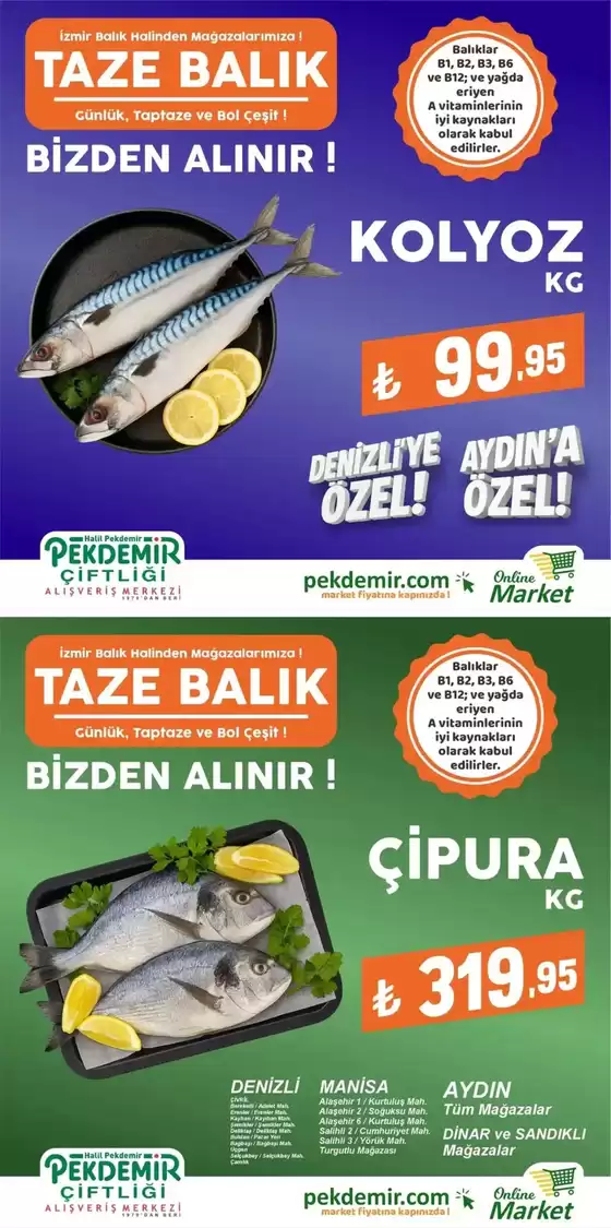 Pekdemir katalog