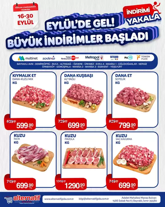 Alternatif katalog