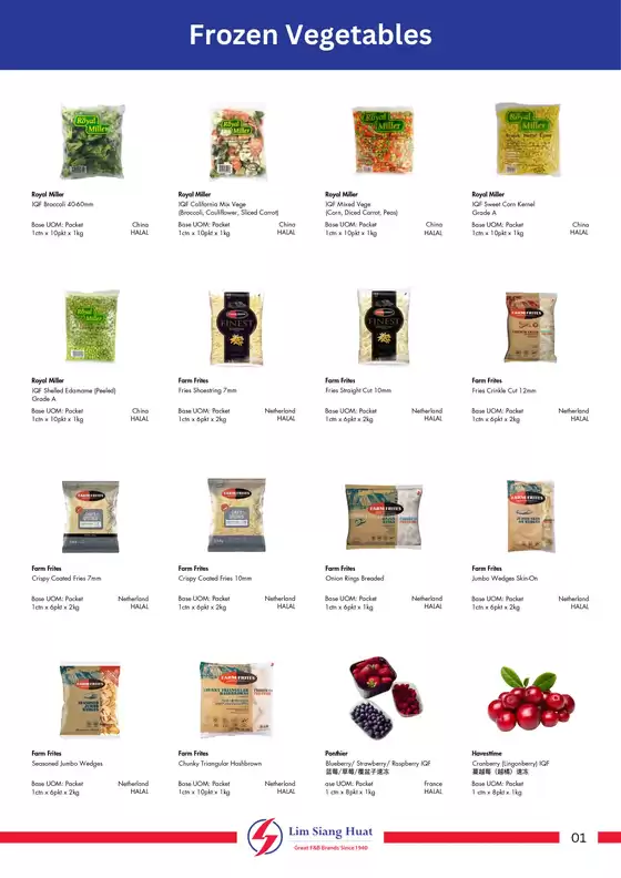 LSH Digital Brochures Frozen Web