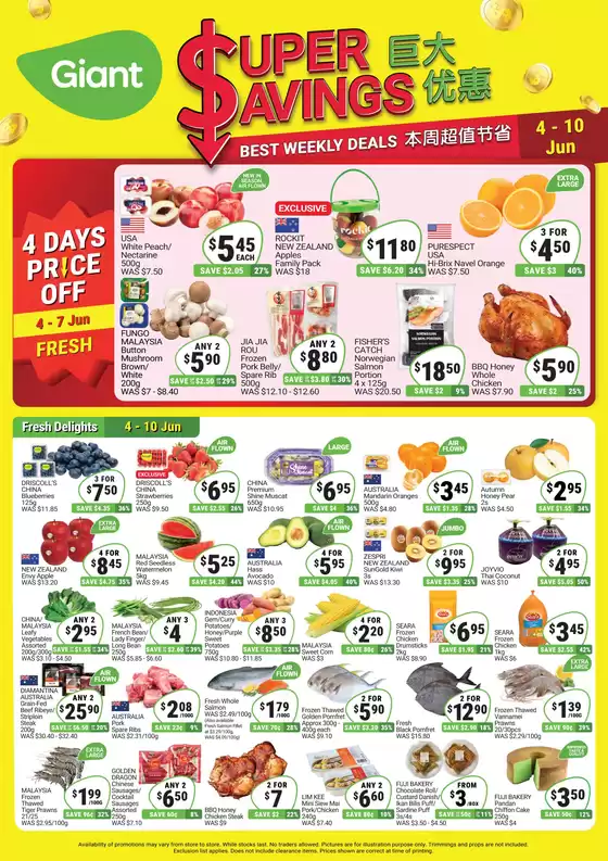 main_flyer image