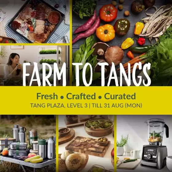 Tangs catalogue | Wide range of offers | 2026-08-01T00:00:00.000Z - 2026-08-31T00:00:00.000Z